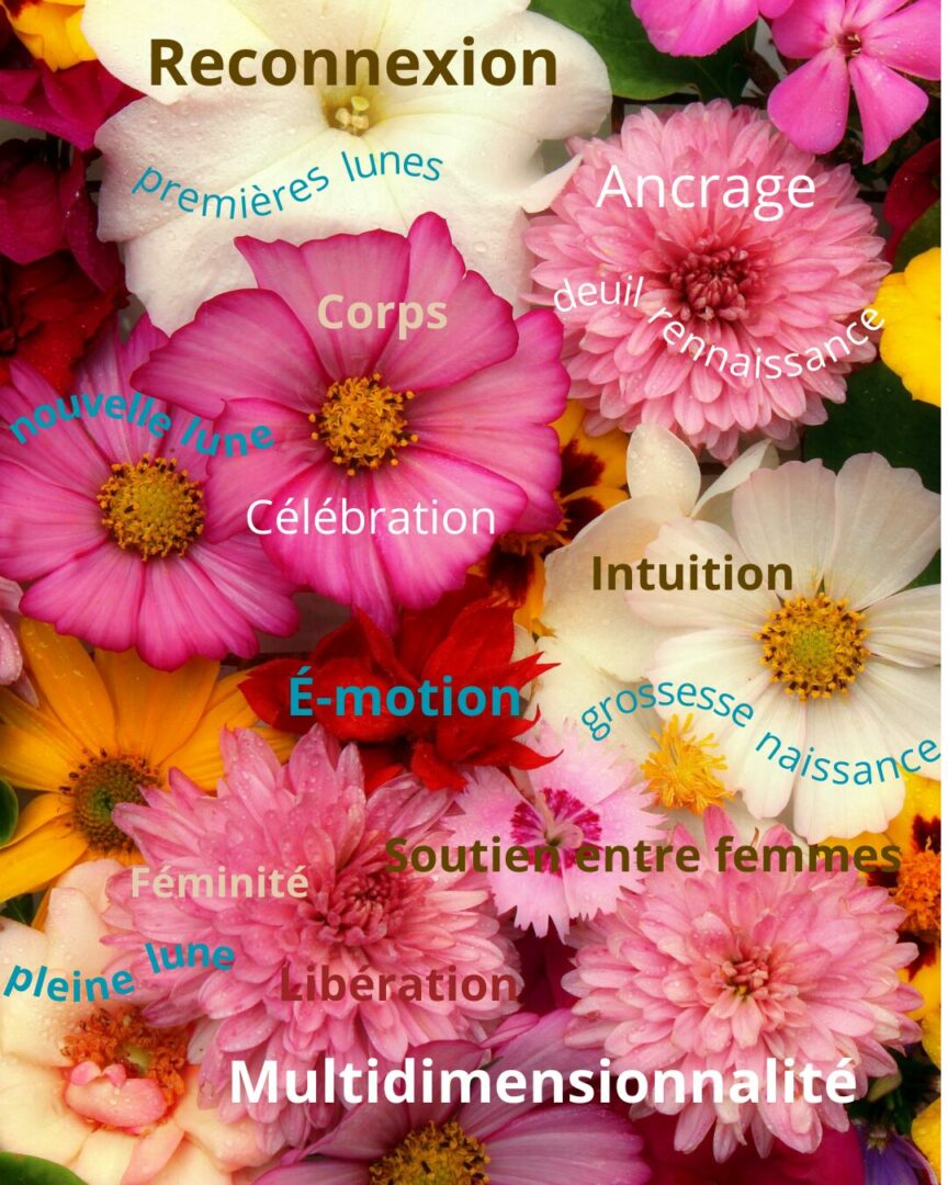 Reconnexion au corps et à l’intuition féminine Libération émotionnelle Célébration de la féminité dans toutes ses dimensions Soutien entre femmes dans des moments de transition Ancrage, empowermen